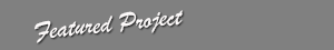Featured Project